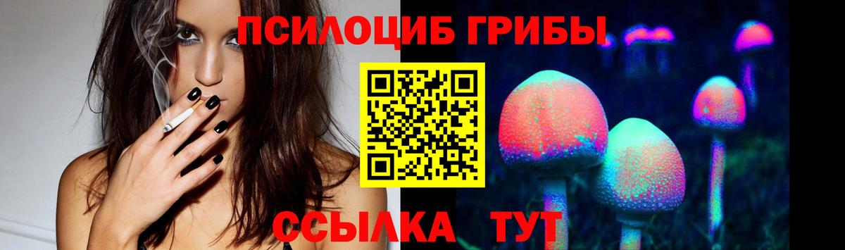 Галлюциногенные грибы Psilocybine cubensis  Вход с VPN  Джанкой 